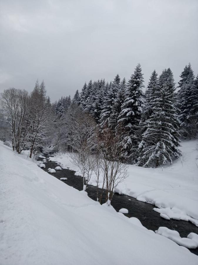 Agroturystyka Oblica Zawoja Luaran gambar