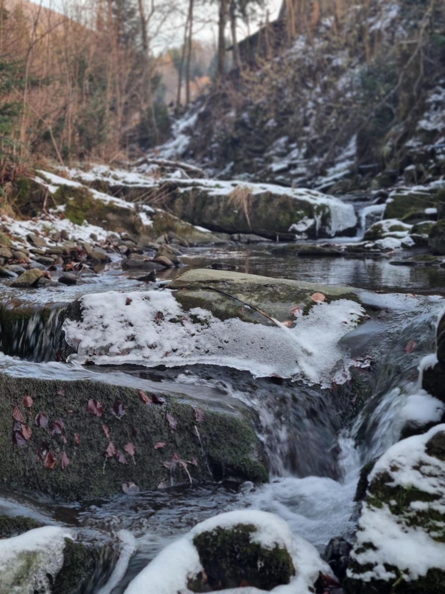 Agroturystyka Oblica Zawoja Luaran gambar