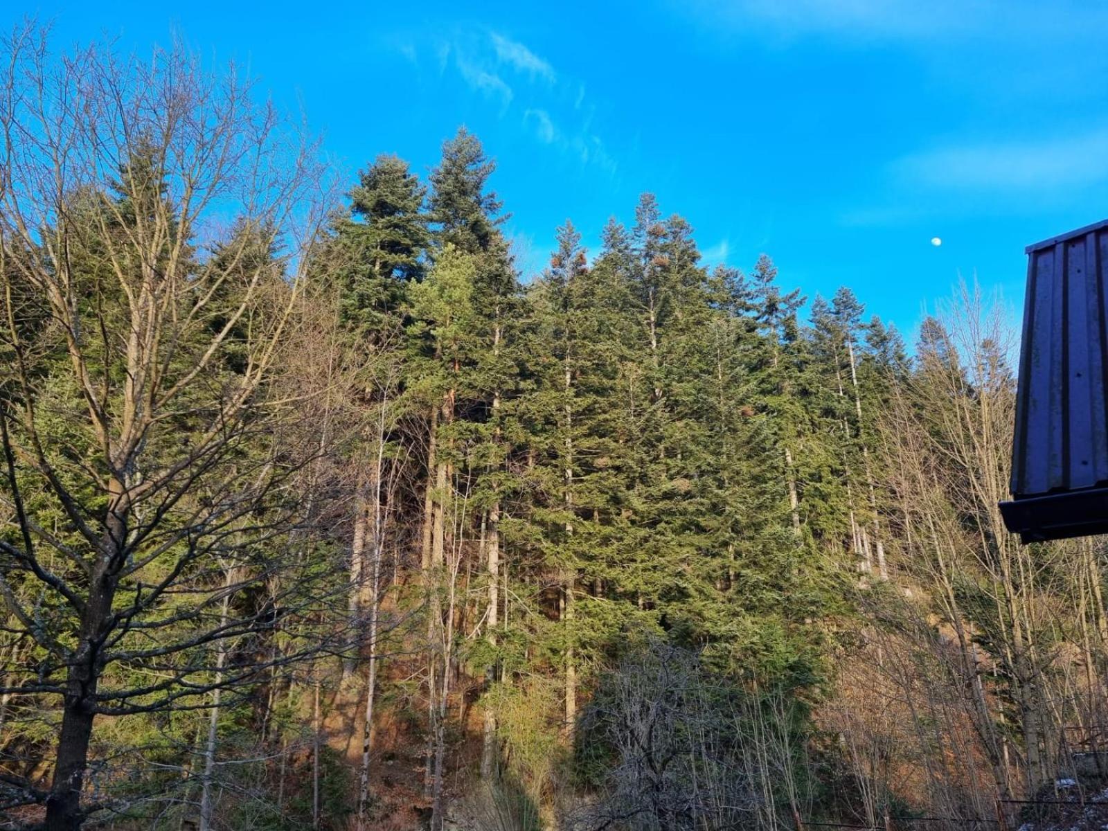 Agroturystyka Oblica Zawoja Luaran gambar