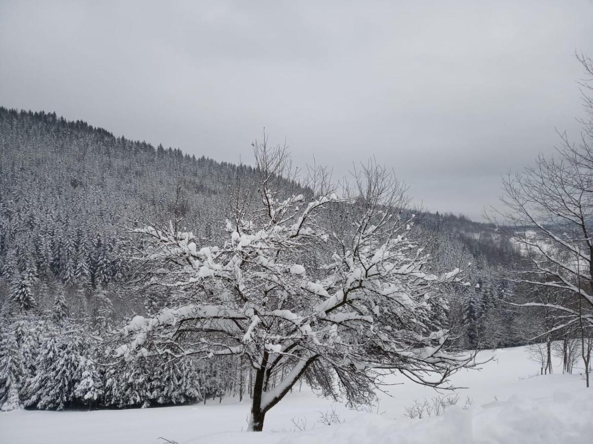Agroturystyka Oblica Zawoja Luaran gambar